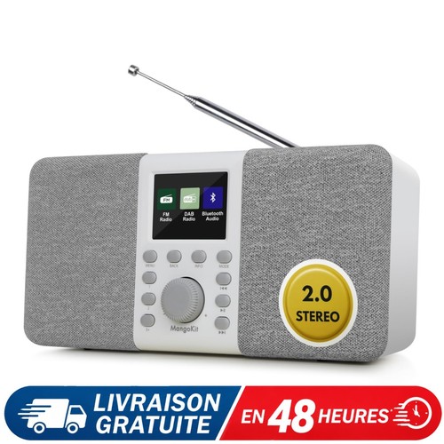 Radio stéréo dab - dab/dab+, fm