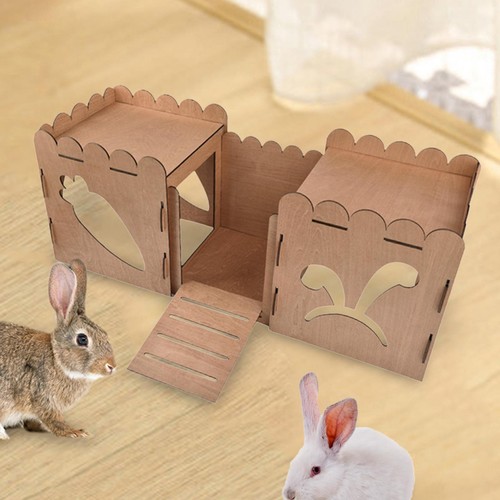 Maison hamster cage - maison,
