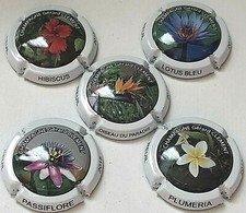 Capsule de champagne CLEMENT Gérard (série de 54. à 54d.)