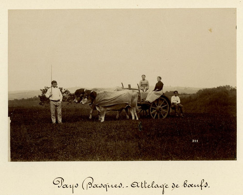 France pays basque attelage - pays, basque,