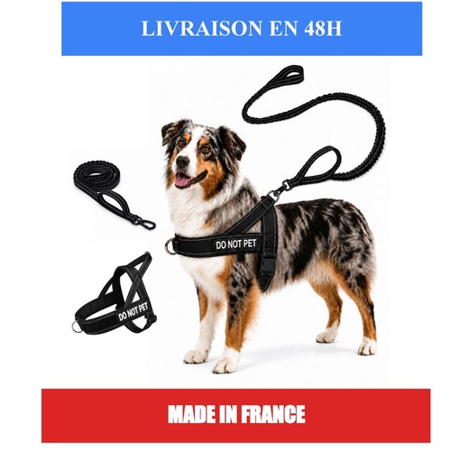 Harnais chien anti traction - harnais,
