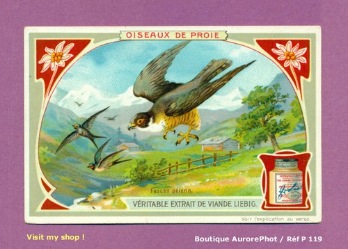 Chromo liebig les oiseaux - les,