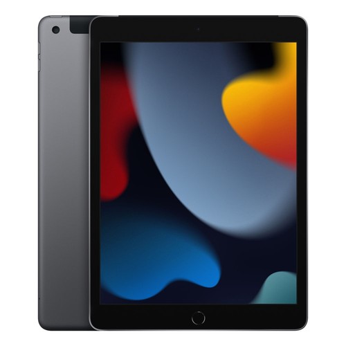 Ipad 64go gris wifi - 10.2",