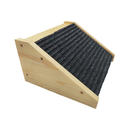 Rampe pour chien pour