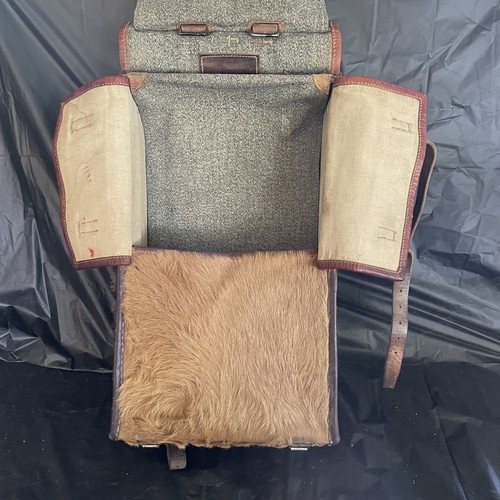 Ww2 swiss army military pony - ww2,