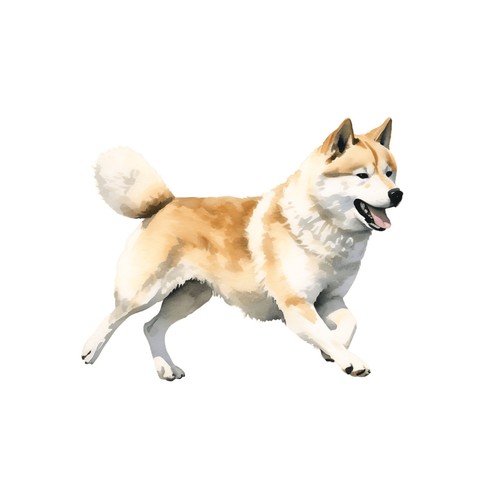 Autocollants akita inu - autocollants,