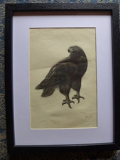 ART DECO ANIMALIER.   GEORGES LUCIEN GUYOT  AIGLE  ESTAMPE SIGNEE