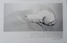 Georges Bru (1933-2023) -