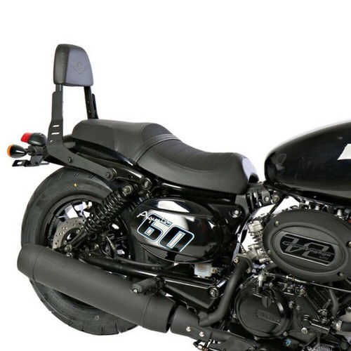Sissy bar custom hyosung - bar,