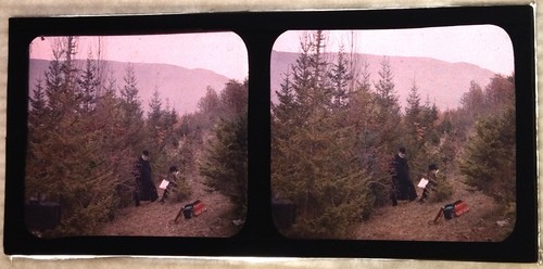 Autochrome pitre photographe - autochrome,