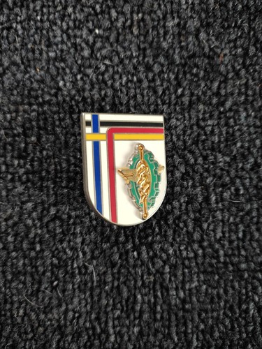 Insigne ffa bcs - insigne,