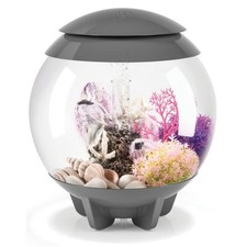 biOrb HALO 4 Gallon Acrylic