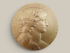 Médaille bronze doré - en,