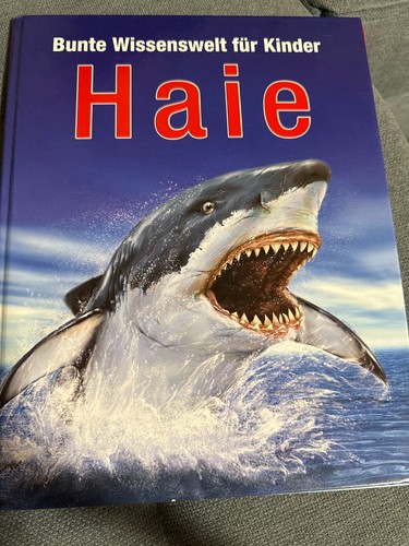 Bunte wissenswelt requins - bunte,
