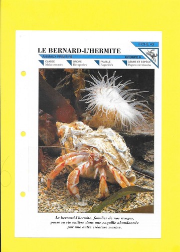 Fiche le - fiche,