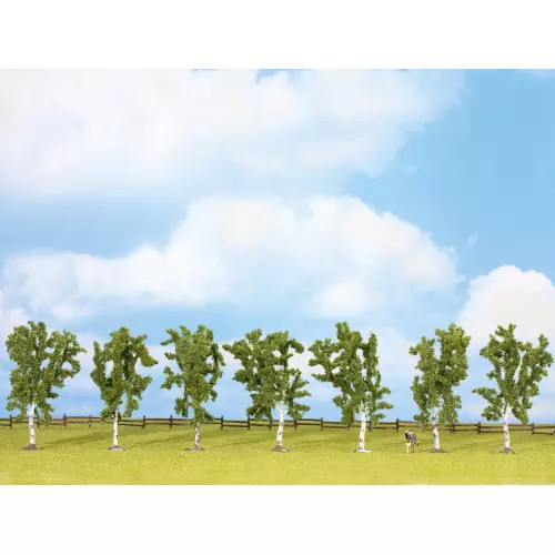 Noch 25096 birches - noch, 7