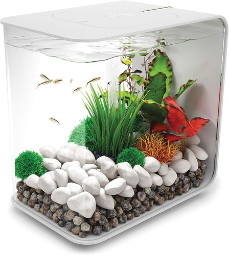 Biorb flow aquarium with - biorb,