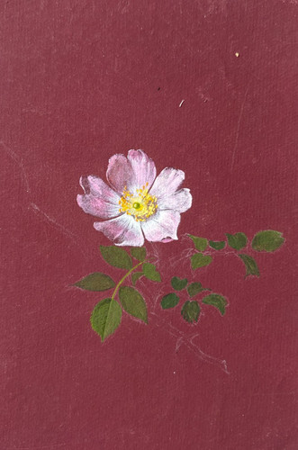 Décoration fleurs motif - de,