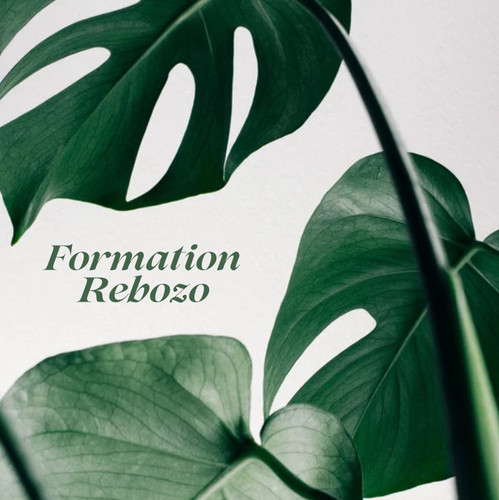 Formation rebozo passation - rebozo, du