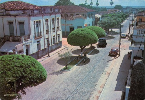 Carte postale pinheiro - postale,,