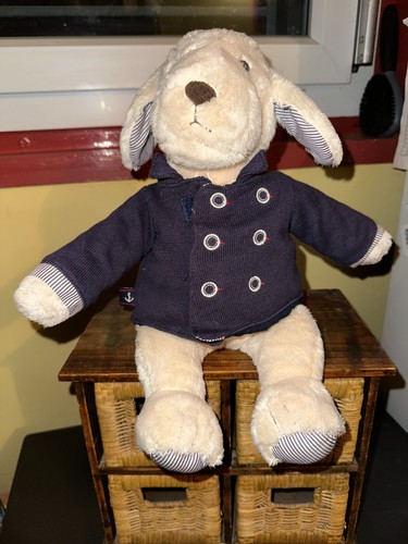 Adorable chien peluche - chien, en
