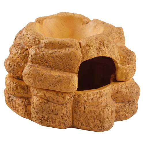 Exo terra décoration - décoration, de