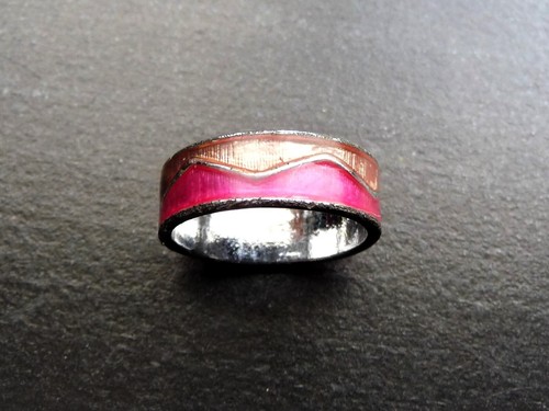Bague anneau bi - anneau, couleur