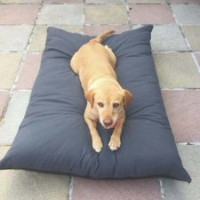 Pet Coussin Lit Chien Chat