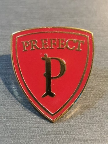 Perfect harry potter red pin - perfect,