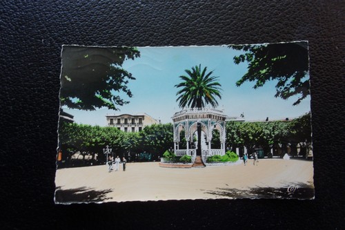 Algerie carte postale 1956 - algerie,