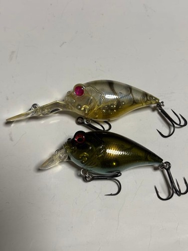 Megabass set gryphon 6cc - gryphon,