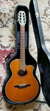 Electric Classic Acoustic
