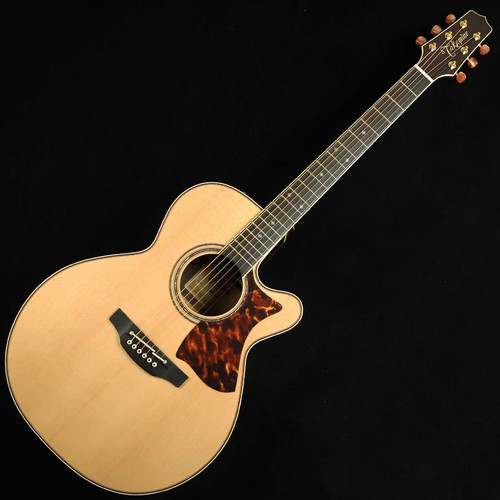 Takamine dmp50s nat dual - dmp50s,