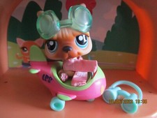 Petshop Chien Bouledogue