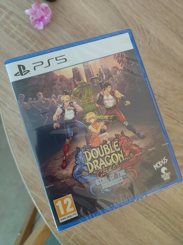 Double dragon gaiden rise - double,