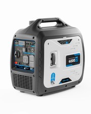 4kw dual fuel inverter - dual,