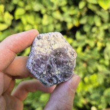 Rubis brut - Kibaya, Tanzanie