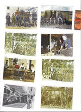 LOT de 27 IMAGES du chocolat