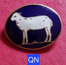 Belle Broche Ancienne