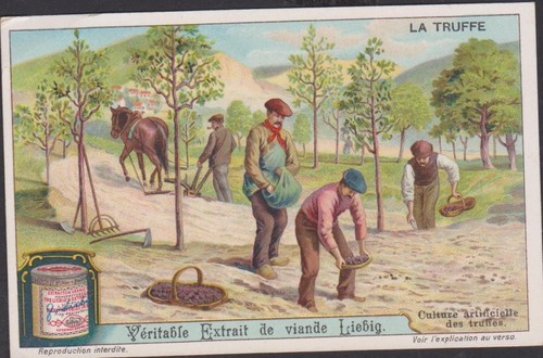 Chromo ancien publicitaire - ancien,