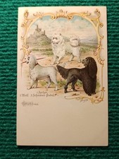 CPA - ILLUSTRATEUR BUNGARTZ - 3 CANICHES - SPITZER WOLL SCHNÜRENPUDEL GRUSS AUS