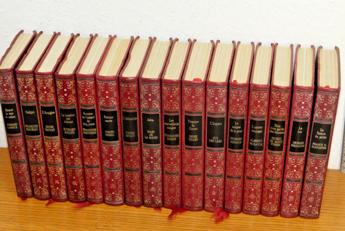 Lot livre roman - 16,