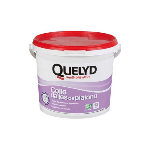 Quelyd colle dalle plafond 4kg - quelyd,