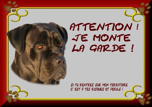 Plaque garde cane corso - plaque,