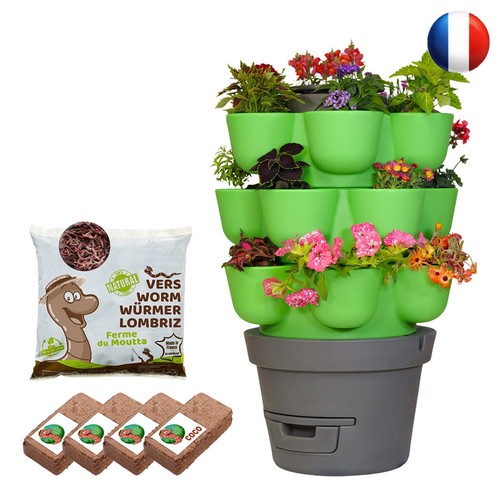 Wormgarden vert niveaux - 3,
