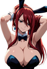 Erza Scarlet Bunny Cosplay