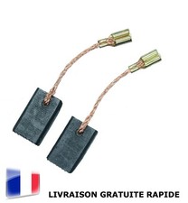 Paire de Charbons pour Moteur Électrique 6 x 9 x 14mm Universel Balais Brosses