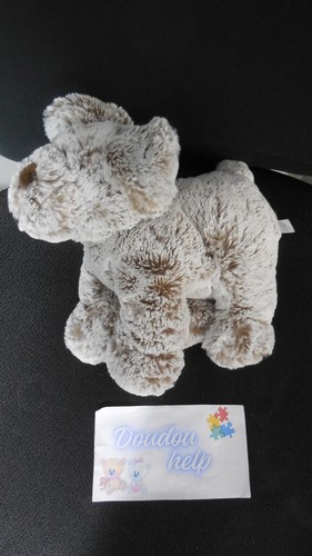 Doudou peluche chien marron - chien,