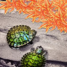  Décoration Aquarium Pour