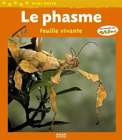 Phasme stéphane senegas - phasme, (le),